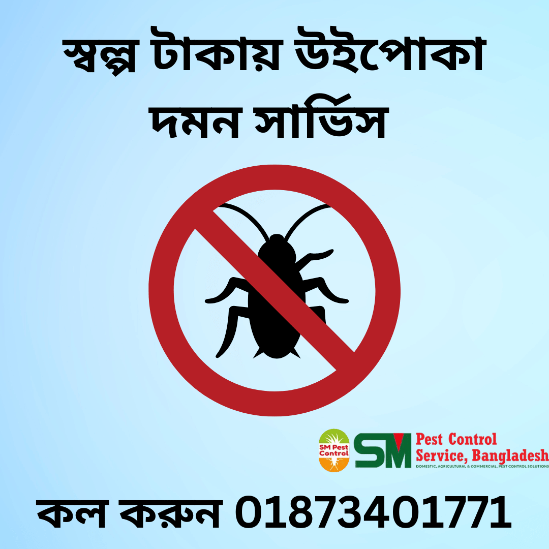 উইপোকা দমন সার্ভিস Termite Control Dhaka