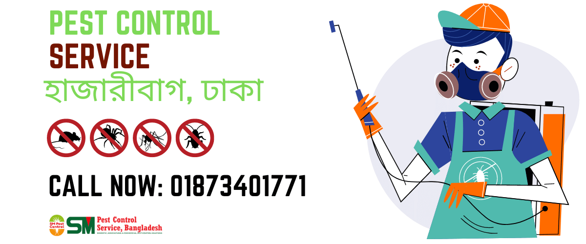 Pest Control Service in Hazaribagh Pest Control Service in Hazaribagh