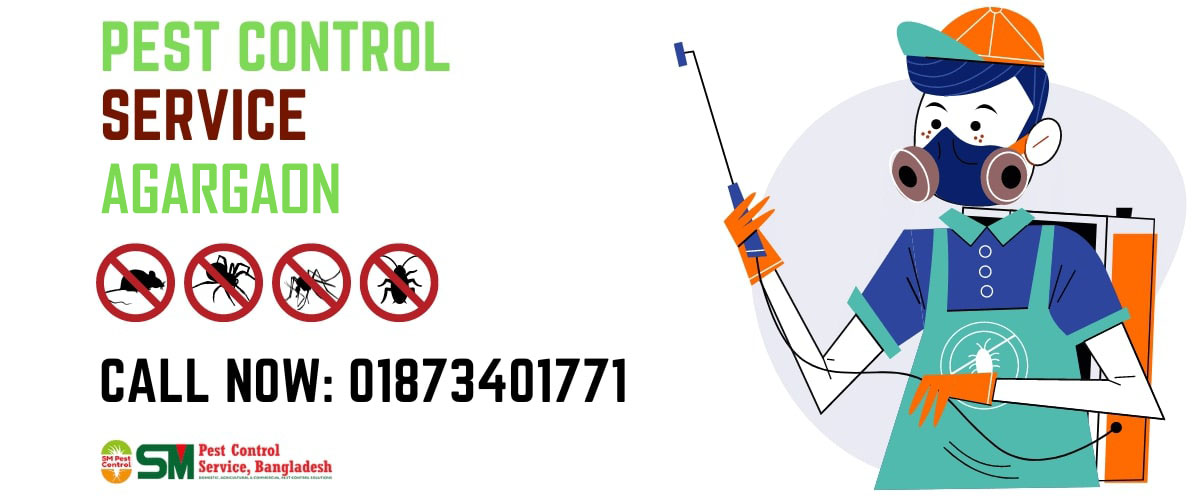 Pest-Control-Service-in-Agargaon Termite Pest Control Dhaka and chattogram