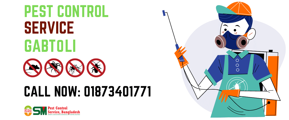 Pest-Control-Service-in-Gabtaooli Termite Pest Control Dhaka and chattogram