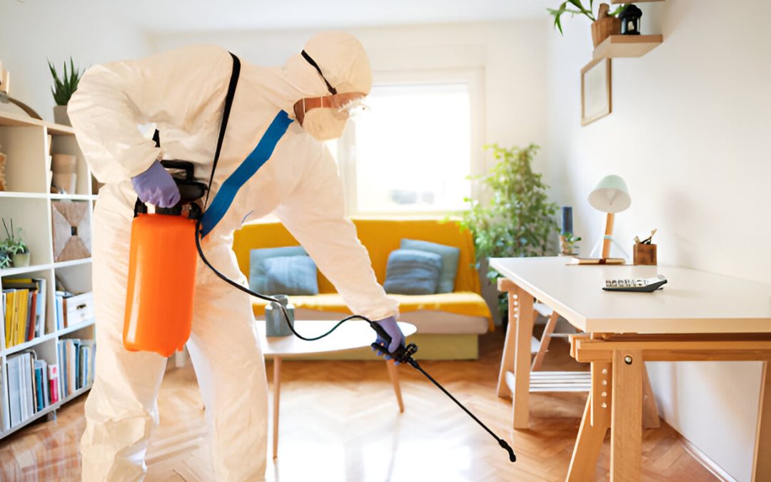 How to identify pest problems in Chittagong